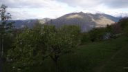 vista su Cavallaria e Gregorio