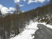 Sopra Viviere:fine gita.