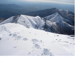 Si vede il colle del Besso e il M.Cristetto dalla vetta...