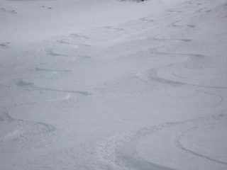 ....farinossissima...