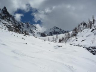 neve già trasformata