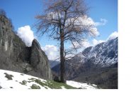 Nel Vallone dell'Orsiera la neve e' finita presto...