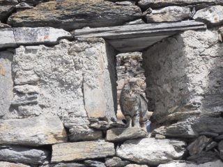 07 - l'unico abitante di Montagne Seu