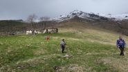  all'alpe Capannone