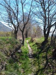Prati sopra Muni