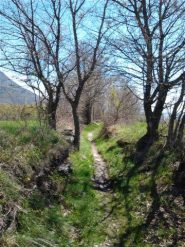Prati sopra Muni