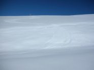 godute curve su tappeto primaverile