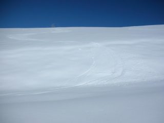 godute curve su tappeto primaverile