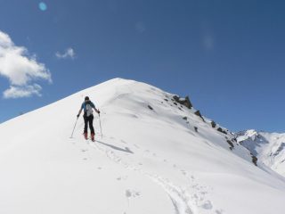 La punta