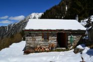 Alp d'Albion (1600 m)