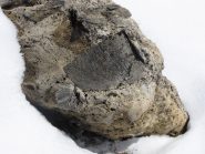 bellissimo esempio di roccia conglomerata