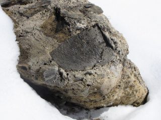 bellissimo esempio di roccia conglomerata