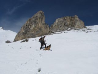 quasi arrivati