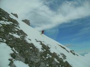 fly in the blue skies