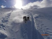 si trova anche farina, ogni tanto...