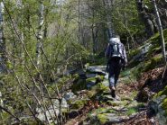 nel sentiero che da ribordone porta alla costa