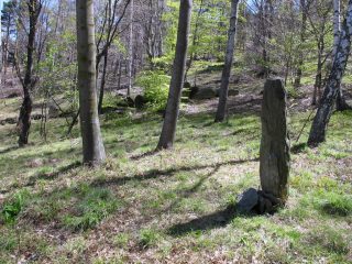 Il menhir al centro del cromlech