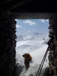 finalmente al riparo