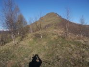 Monte Tagliarè, visto salendo dopo il Bosco del Brusey