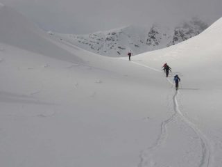 Passando al colletto  