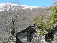 Da Palocco vecchio verso dorsale innevata con alpeggio