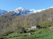 Salendo verso Alpe Volanza e Uia di Corio ben innevata