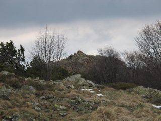 Monte Arpone