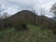 Monte Curt