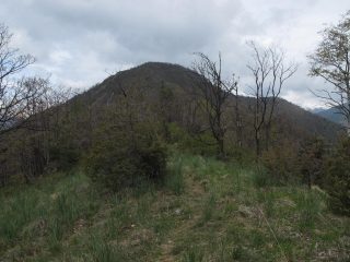 Monte Curt