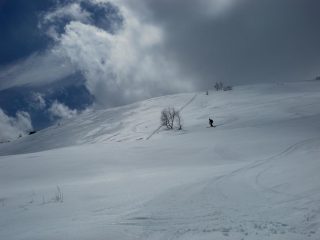 crema da urlo