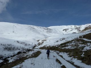 valloncello