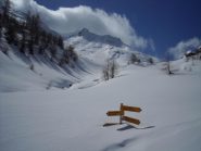 segnavia o segnaneve?