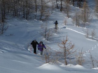 Ripidino