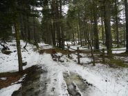 nei dintorni della località Sotta
