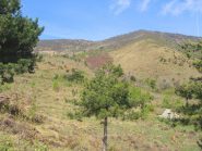 vista della cima dal basso