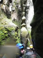 sculture naturali