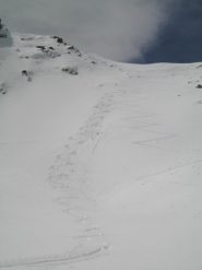 IL COLLETTO SVERNICIATO