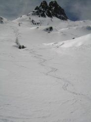 ANCORA DUE SVERNICIATE