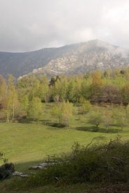 La strada è ancora lunga......