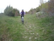 Discesa alla fine del bosco