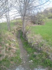 Si entra nel bosco subito dopo Muni