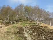 un breve tratto di sentiero