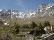 Verso canal. Scaglie
