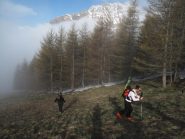 all'altezza del boschetto