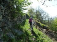 Tratto tra Celle e Camparnaldo