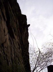 forny si cala nel vuoto