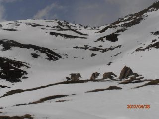 pendii di discesa con neve discreta