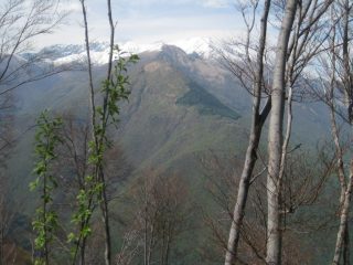 Limidario e Rocce del Gridone