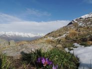 panorama dall'inizio della cresta