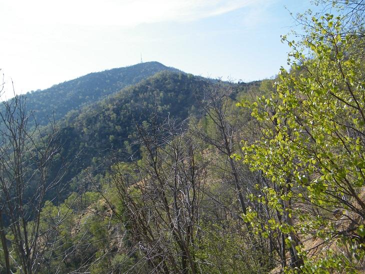 La sommità vista dallo sterrato